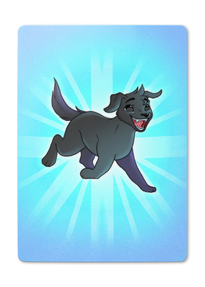 Couri: Companion