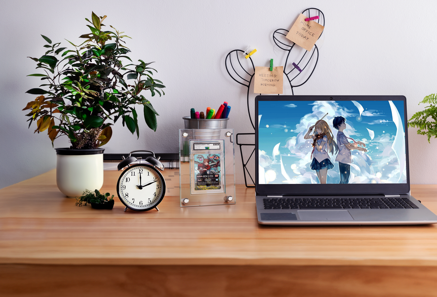 Desktop Display Case