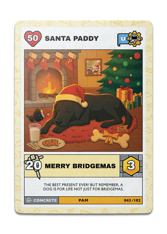 SANTA PADDY - Uncommon