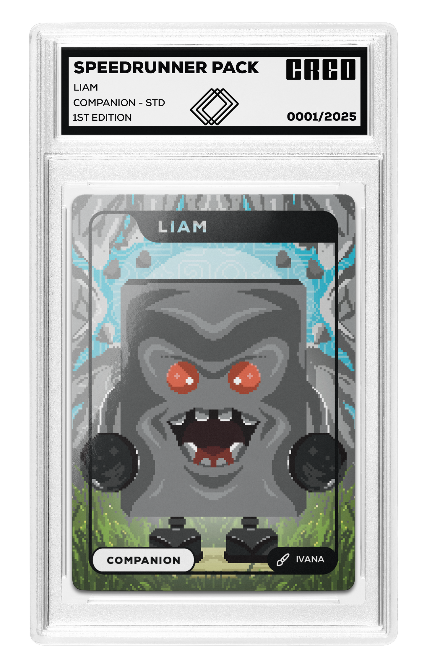 Liam - Companion