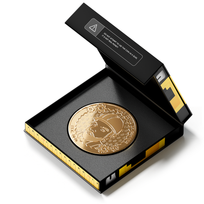 Civil Draft Collector's Coin