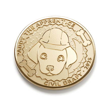 Civil Draft Collector's Coin